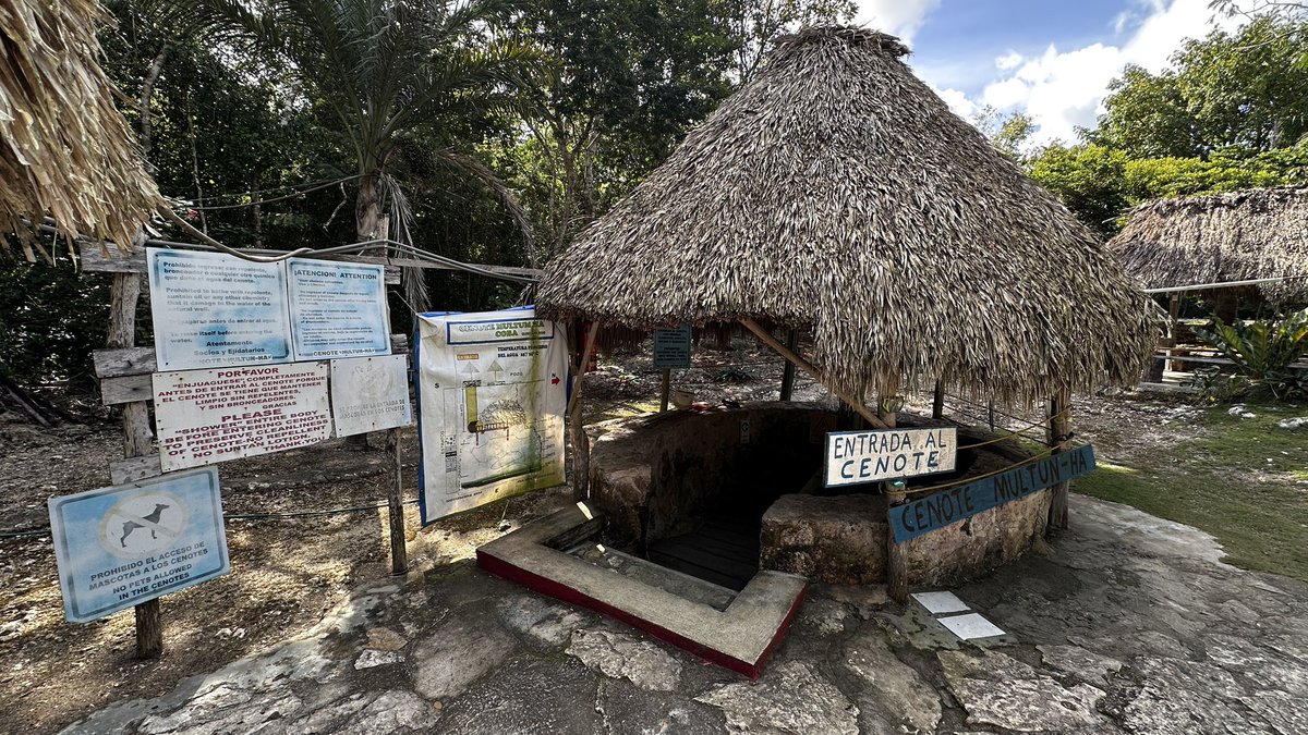 PetrOndracek10's tweet photo. 🇲🇽/8 Po prohlídce mayských ruin #Cobá netoužíte po ničem jiném, než se někde svlažit. Jen pár kilometrů odsud se naštěstí nachází další cenote - #MultumHa, tentokrát krásný příklad jeskynního typu. Sestoupat do podzemí se k ní musí po příkrém schodišti, a její dno je ještě dalších 18 metrů pod hladinou. Máte-li štěstí, budete tam sami…