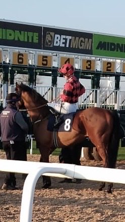 Martyn MacLeod tweet media