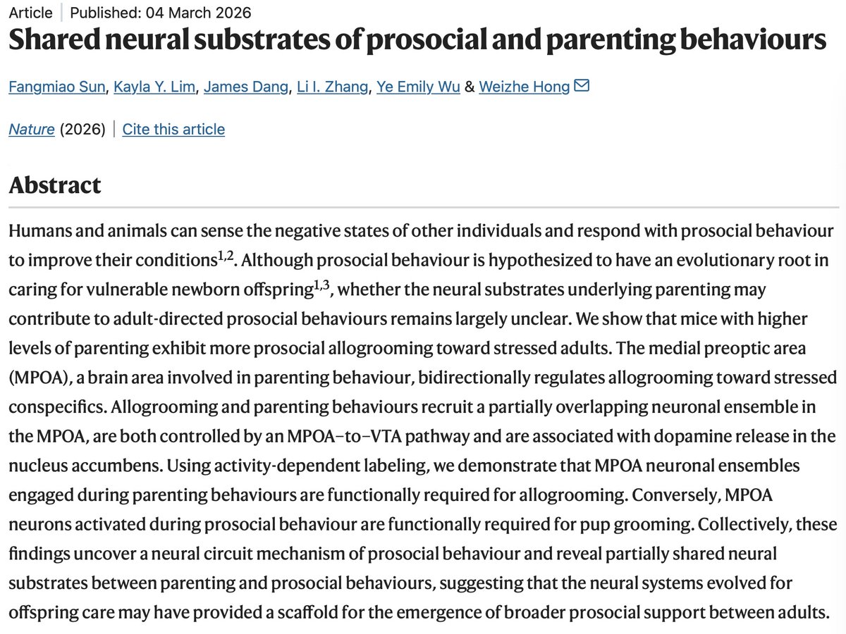 Weizhe Hong tweet media