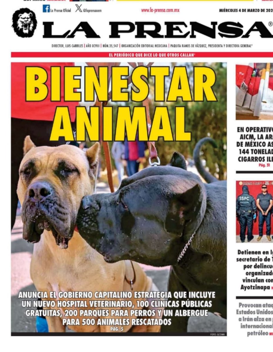 Gente por la Defensa Animal (GEPDA) tweet media