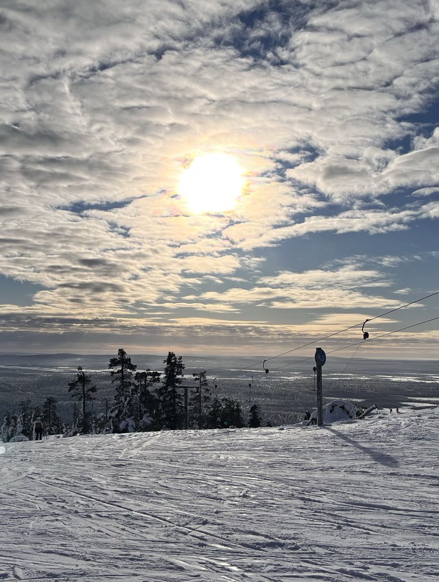 Voltolly tweet media