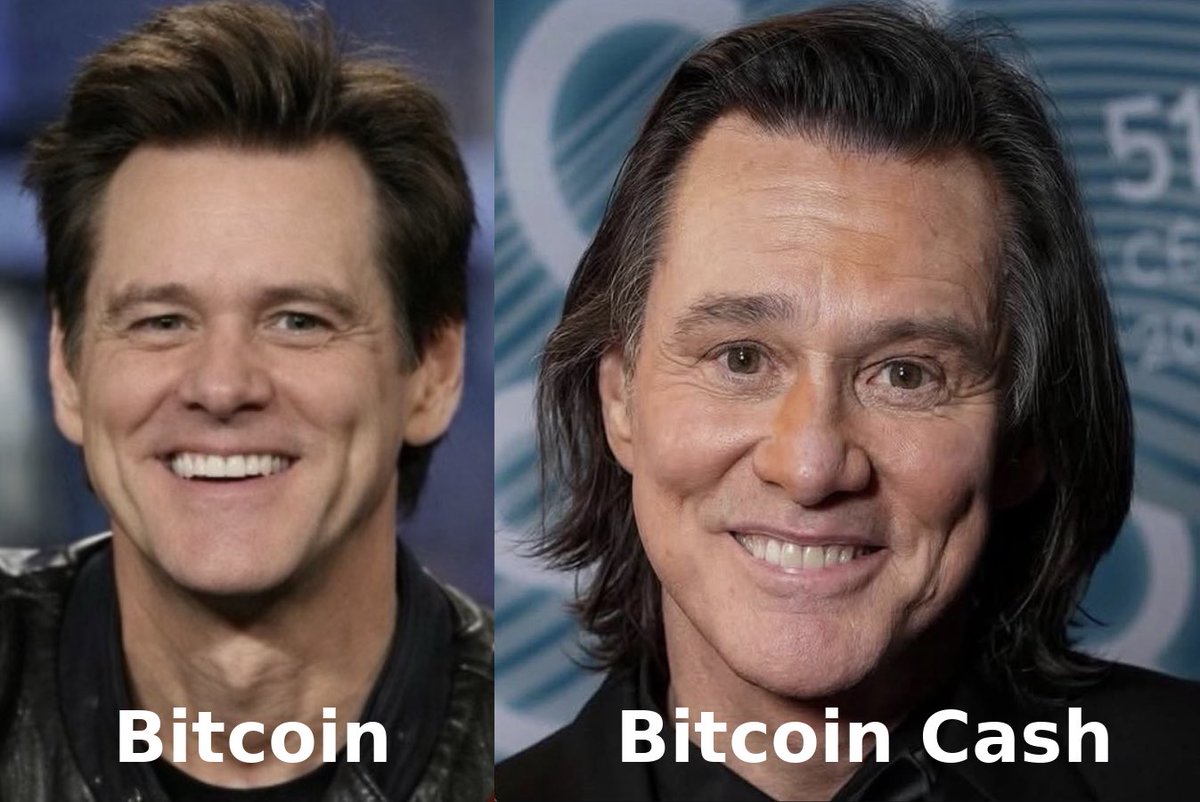 🇨🇭 Swiss Hodler tweet media