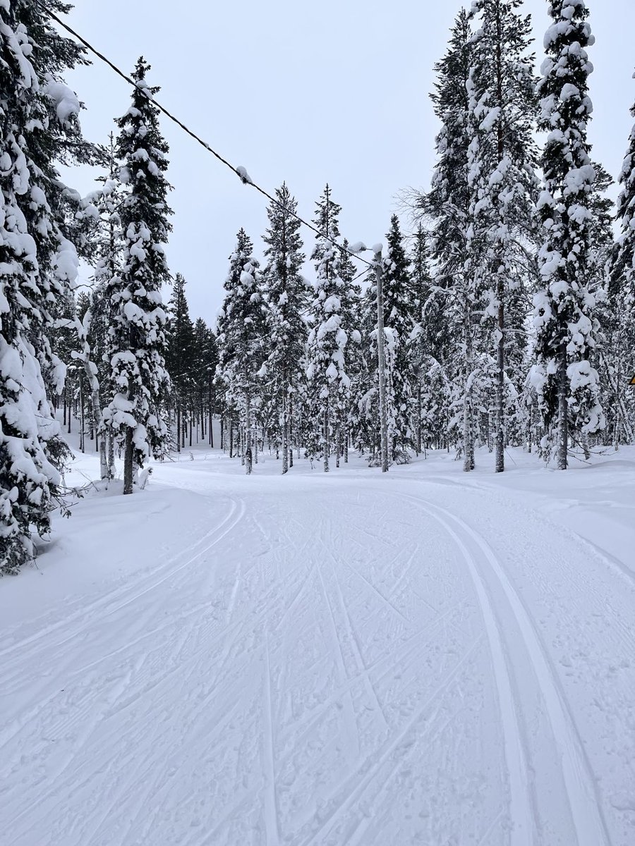 Voltolly tweet media