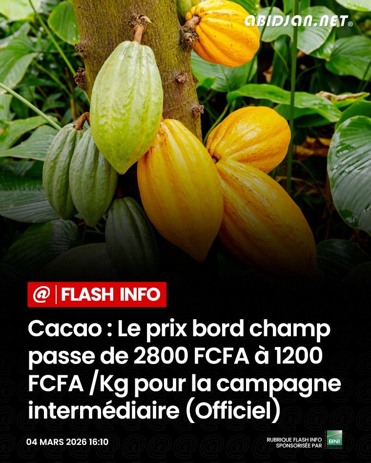 Le pouvoir au peuple 🇨🇮 tweet media