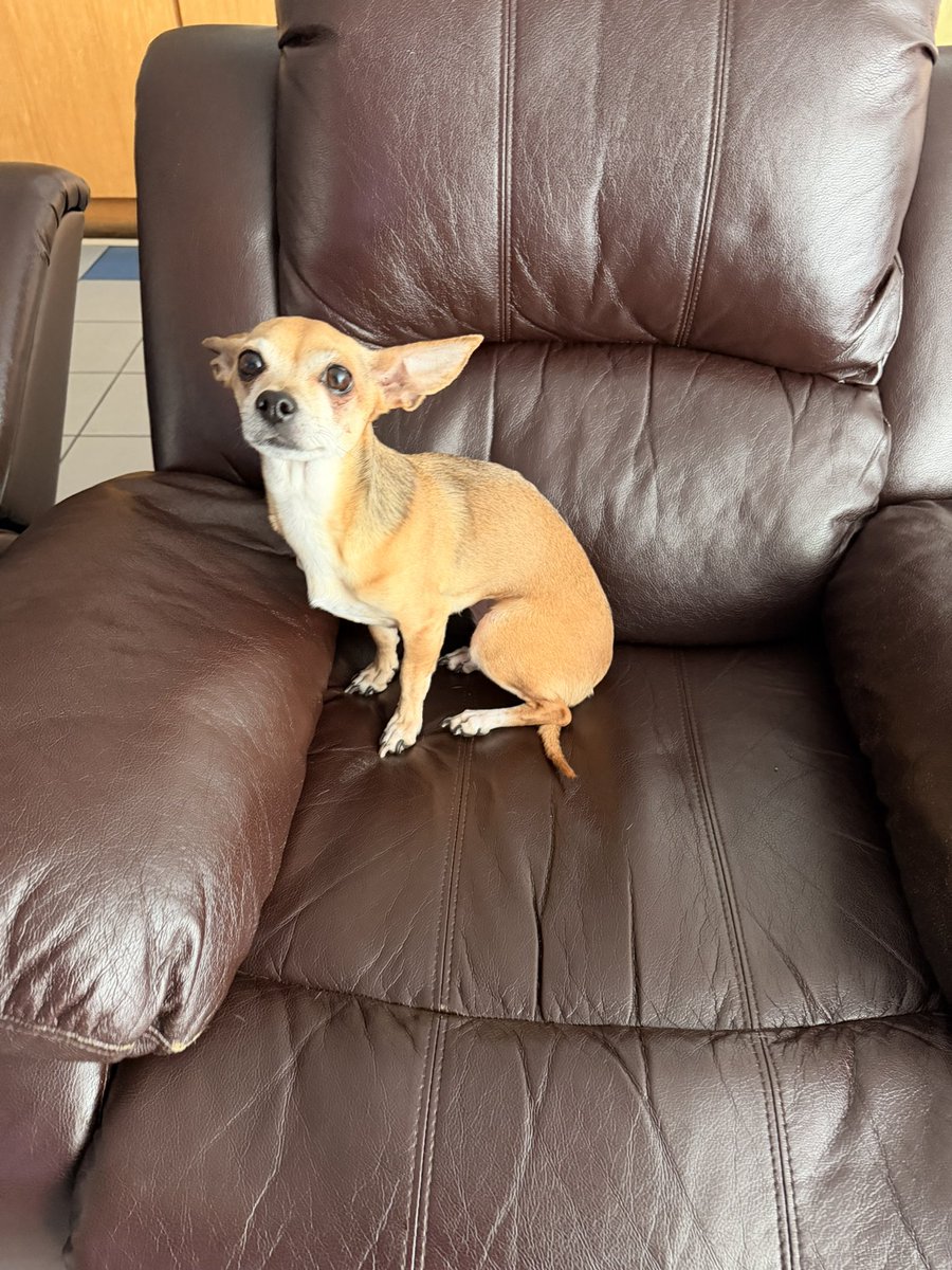 Miami Beach Fire tweet media