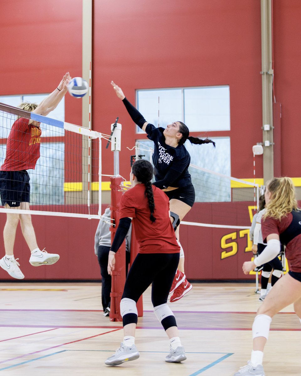 Iowa State Volleyball tweet media