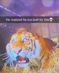 Milenn ﻬ .･⁠｡ﾟ tweet media