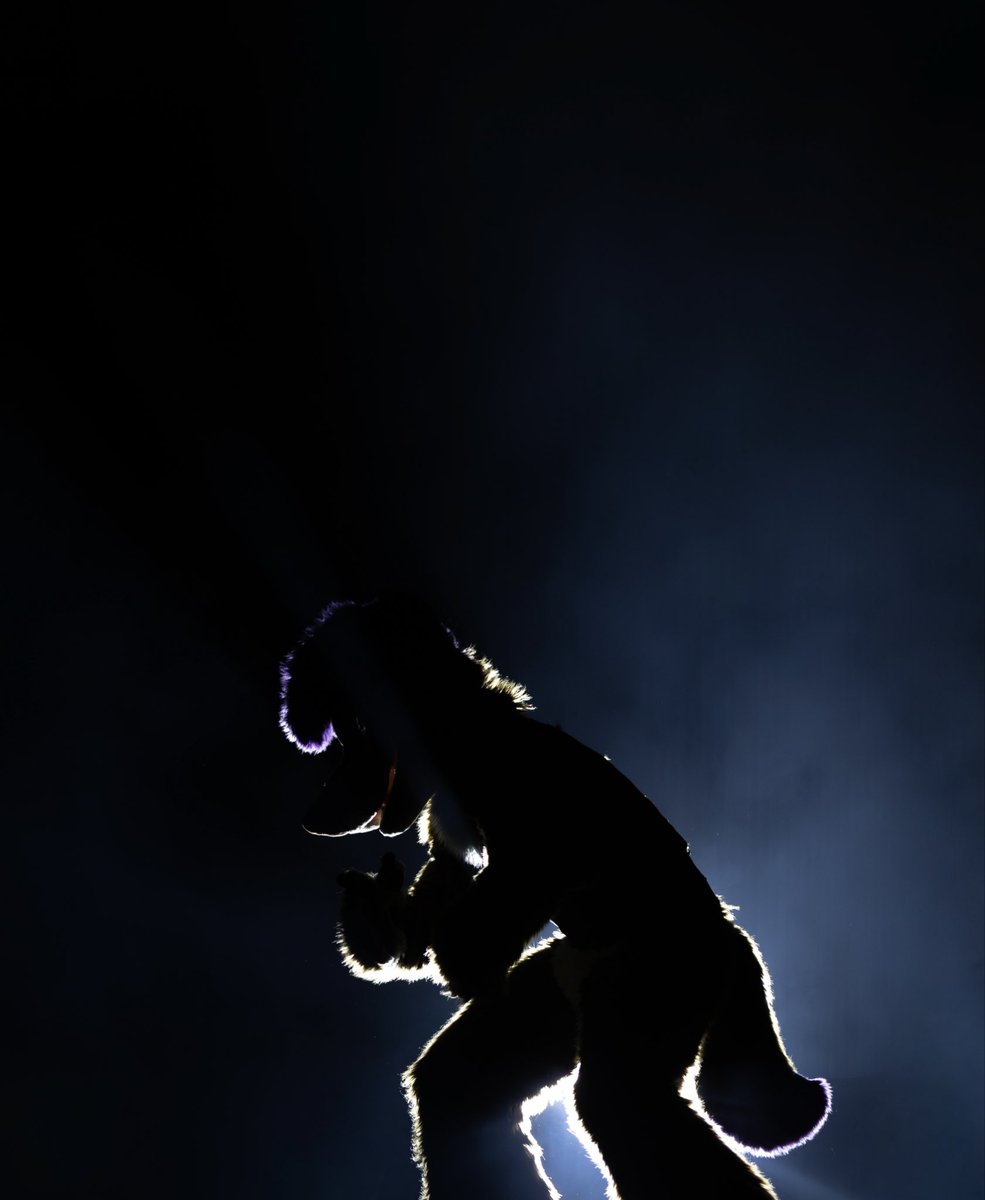 TayGoober's tweet photo. In the stage light.
Suiter: @Mirafloofert 
Picture taken at #nfc2026 
#furry #fursuit #photography https://t.co/eo3oUXIVPH
