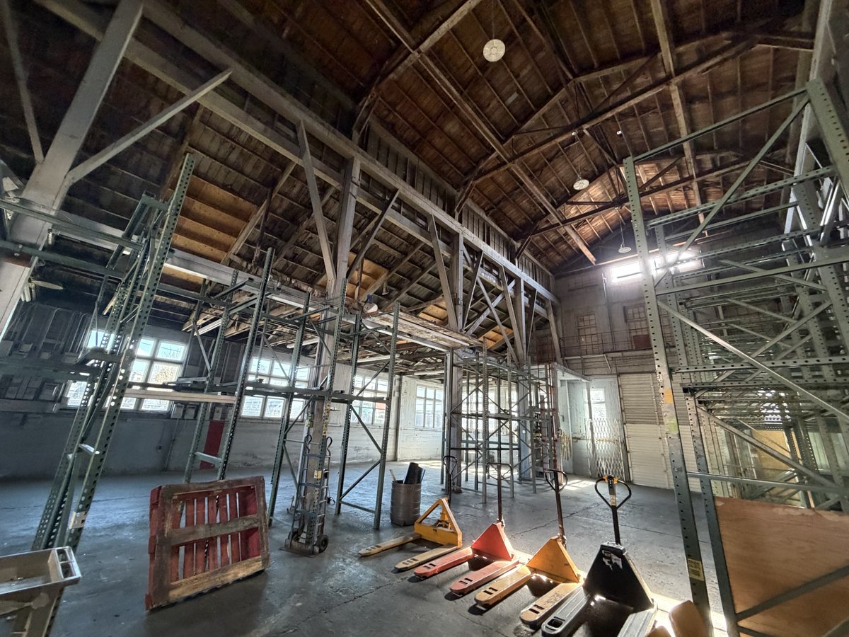 Sunshine Division tweet media