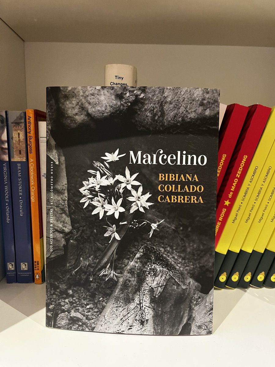 Emili Albi tweet media