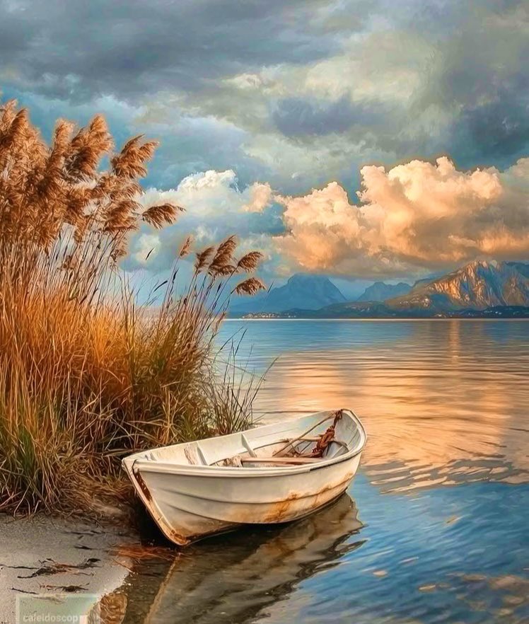 🦋 Nilgün 🦋 tweet media