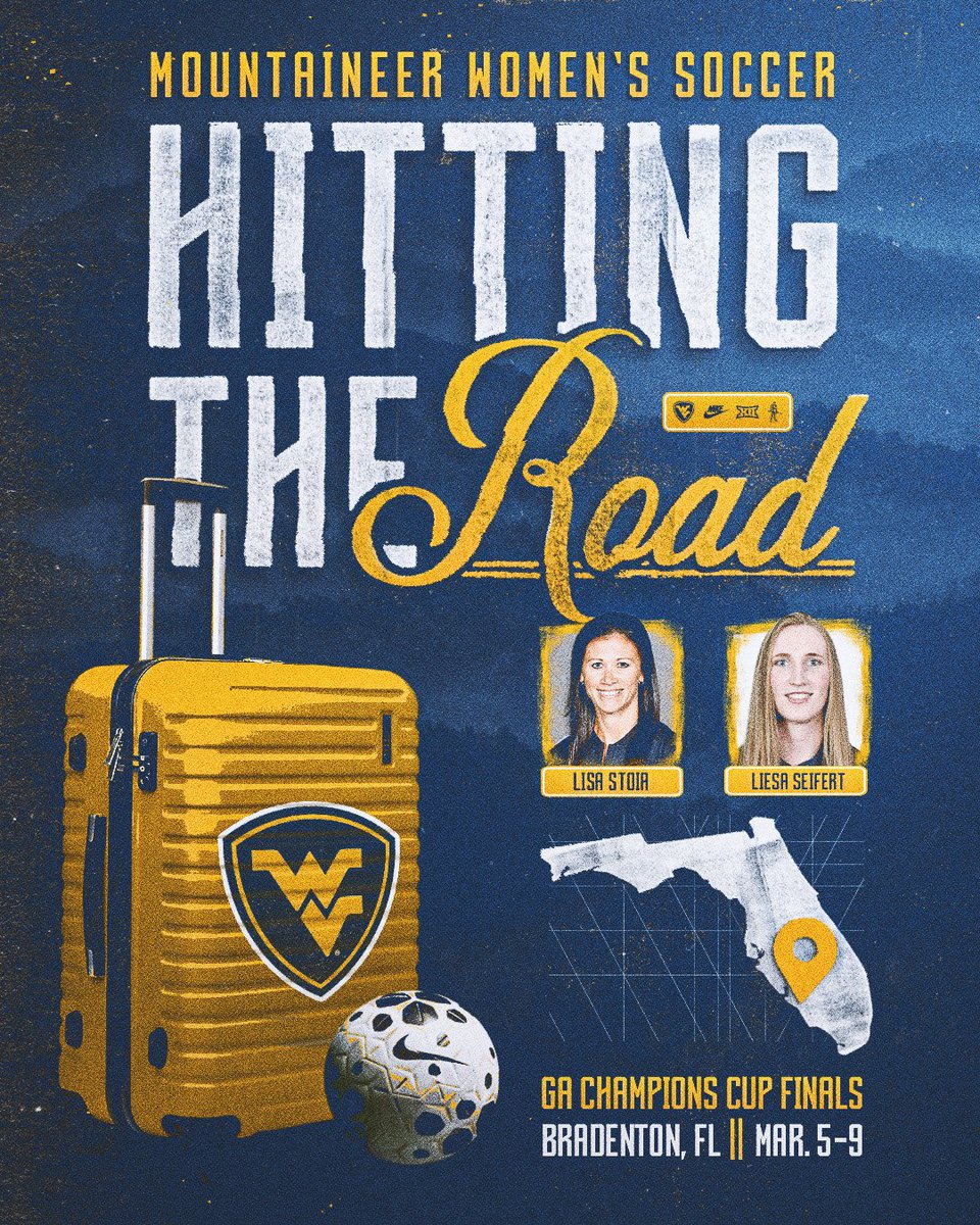 Lisa Stoia tweet media