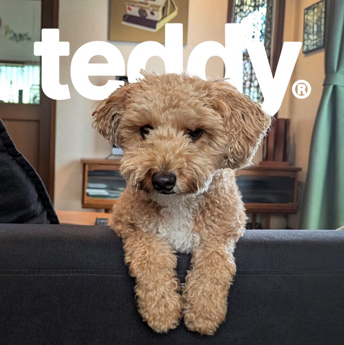 Teddy London tweet media