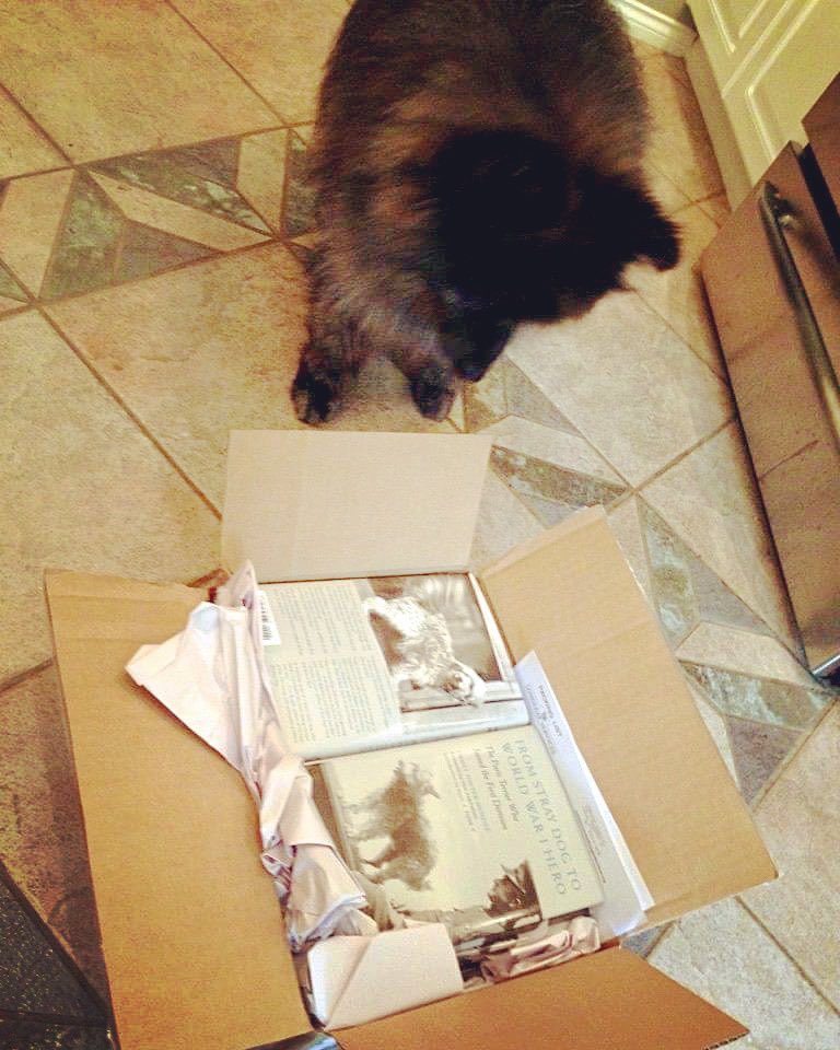 Grant Hayter-Menzies tweet media