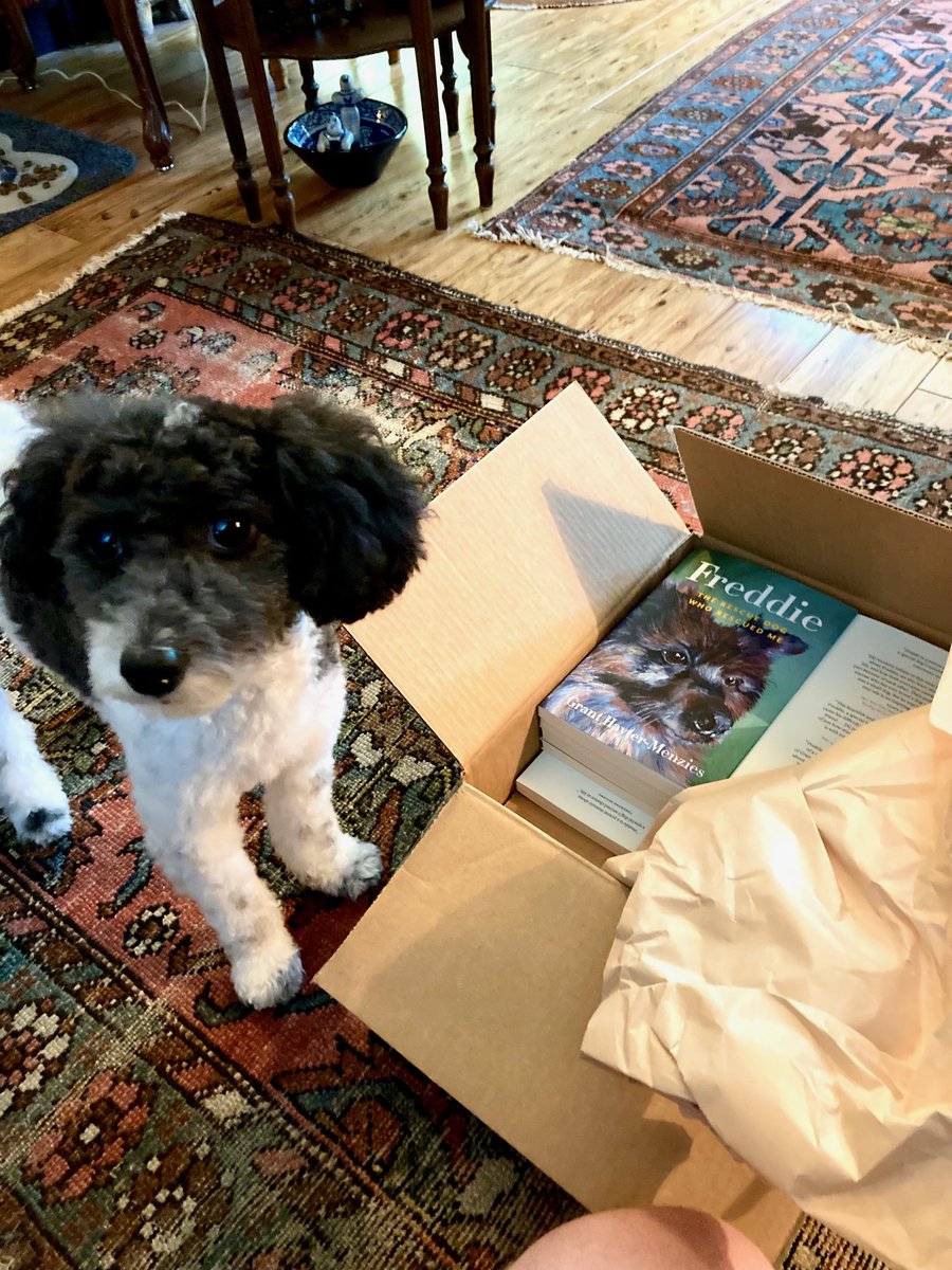 Grant Hayter-Menzies tweet media