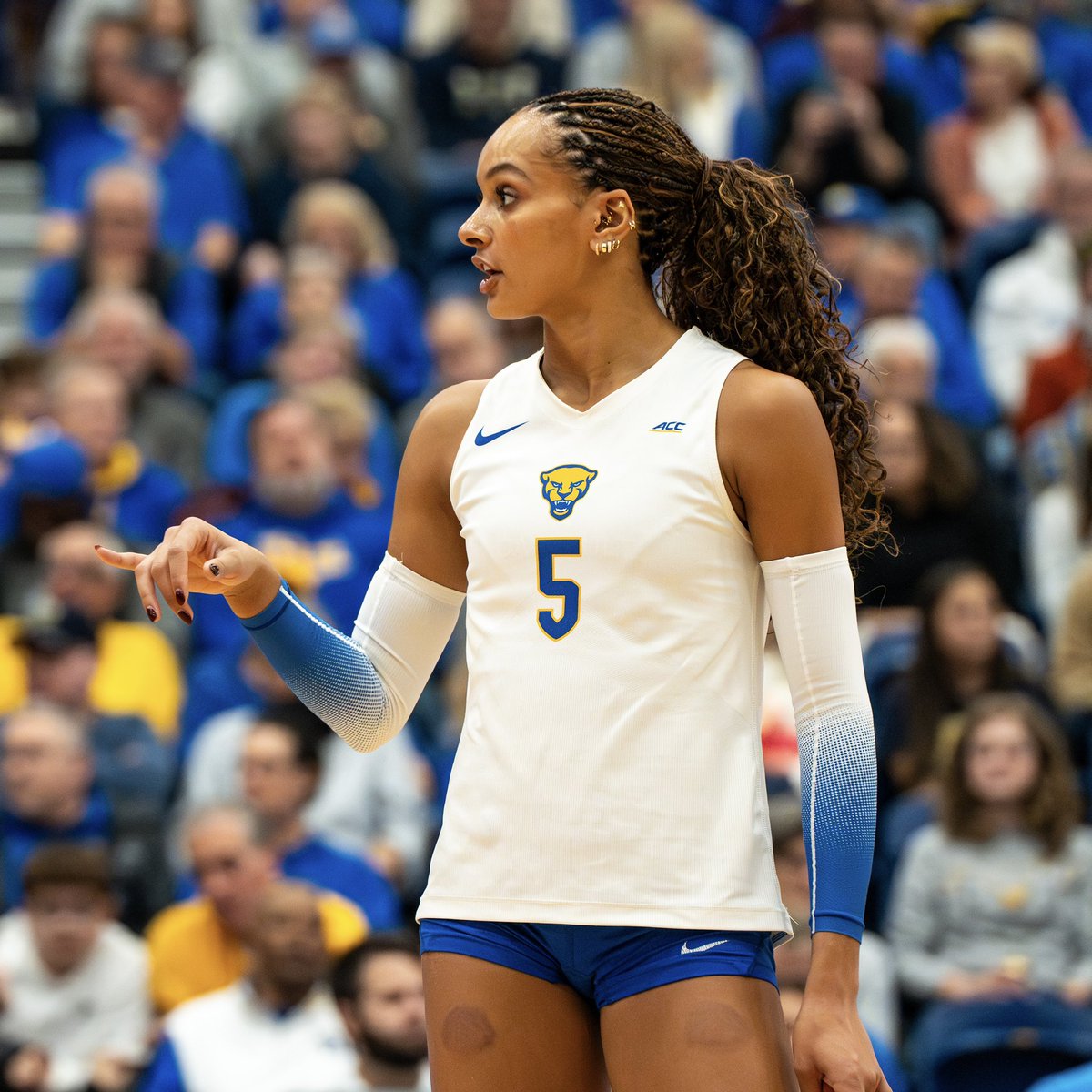 Pitt Panthers tweet media