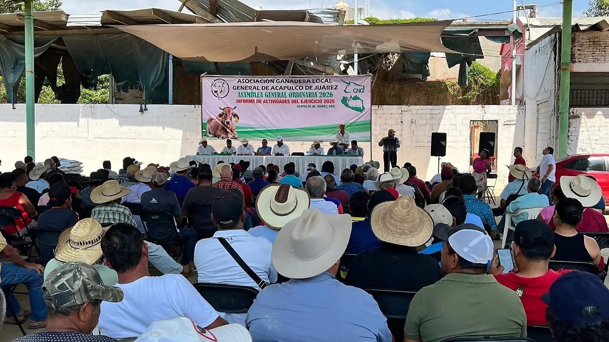 eDairyNewsEs's tweet image. Miedo al gusano barrenador frena #ventas de carne y #lácteos. Lea la Noticia 👉  buff.ly/HytJX4I