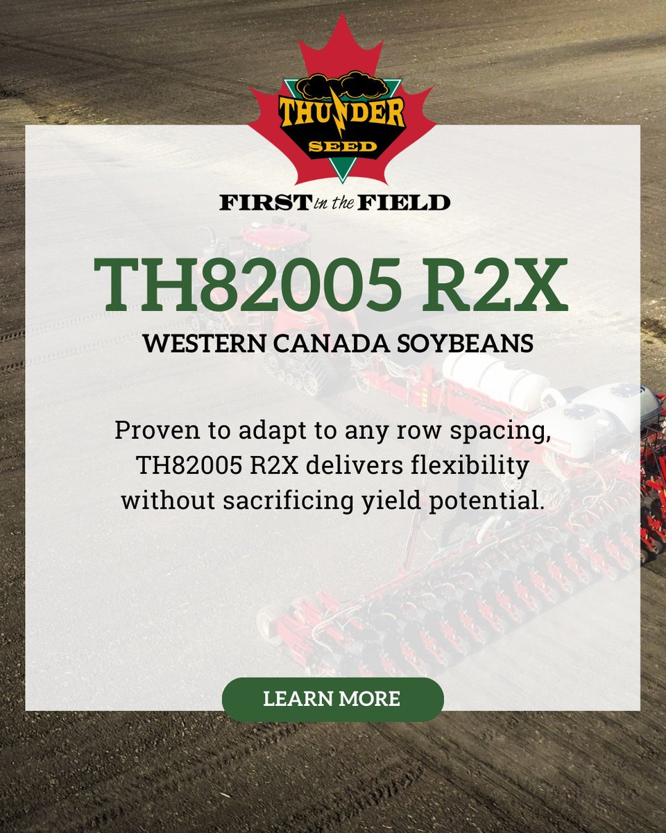 Thunder Seed tweet media