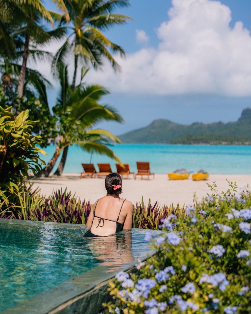 Imagine your winter, here. #FSWinterEscape
