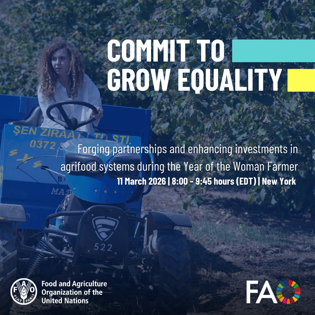 FAO in New York tweet media