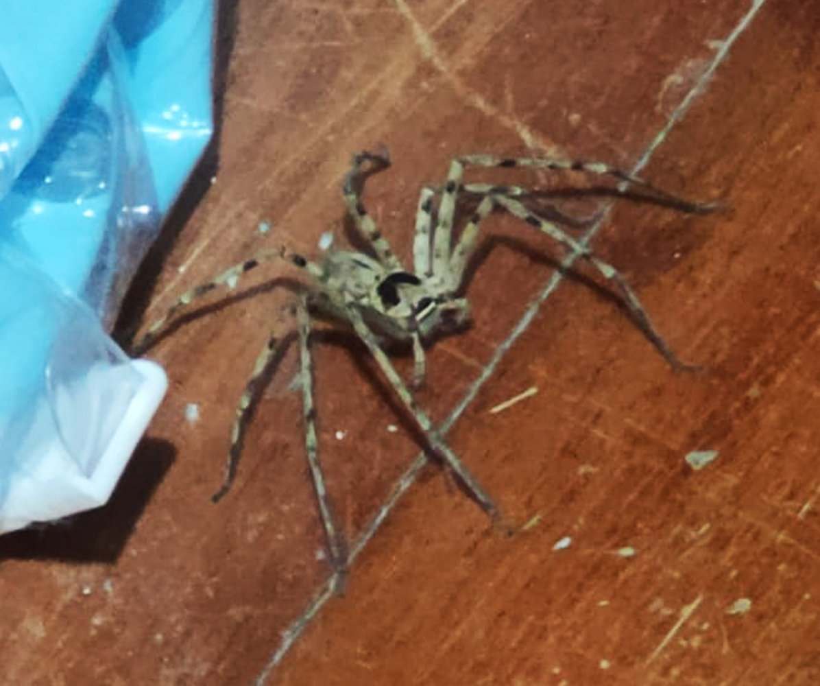 VhenyfireVT🔥 | 🇵🇭🔞 VGEN COMMS OPEN tweet media