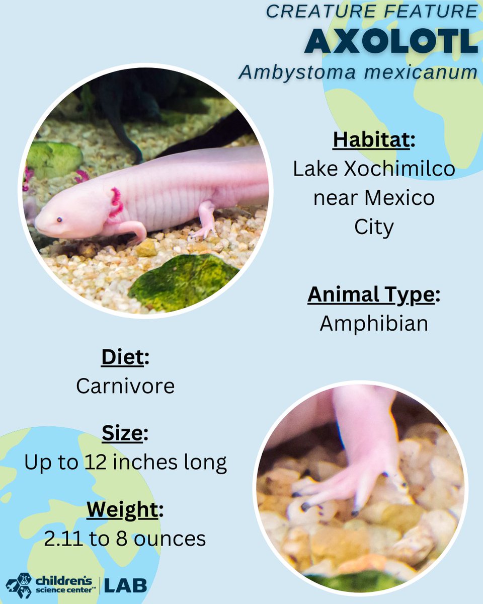 ChildrensSciCenter tweet media