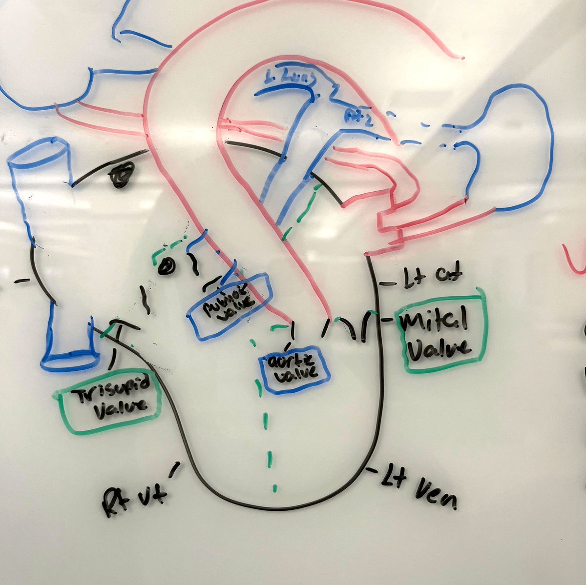 UCO Library tweet media