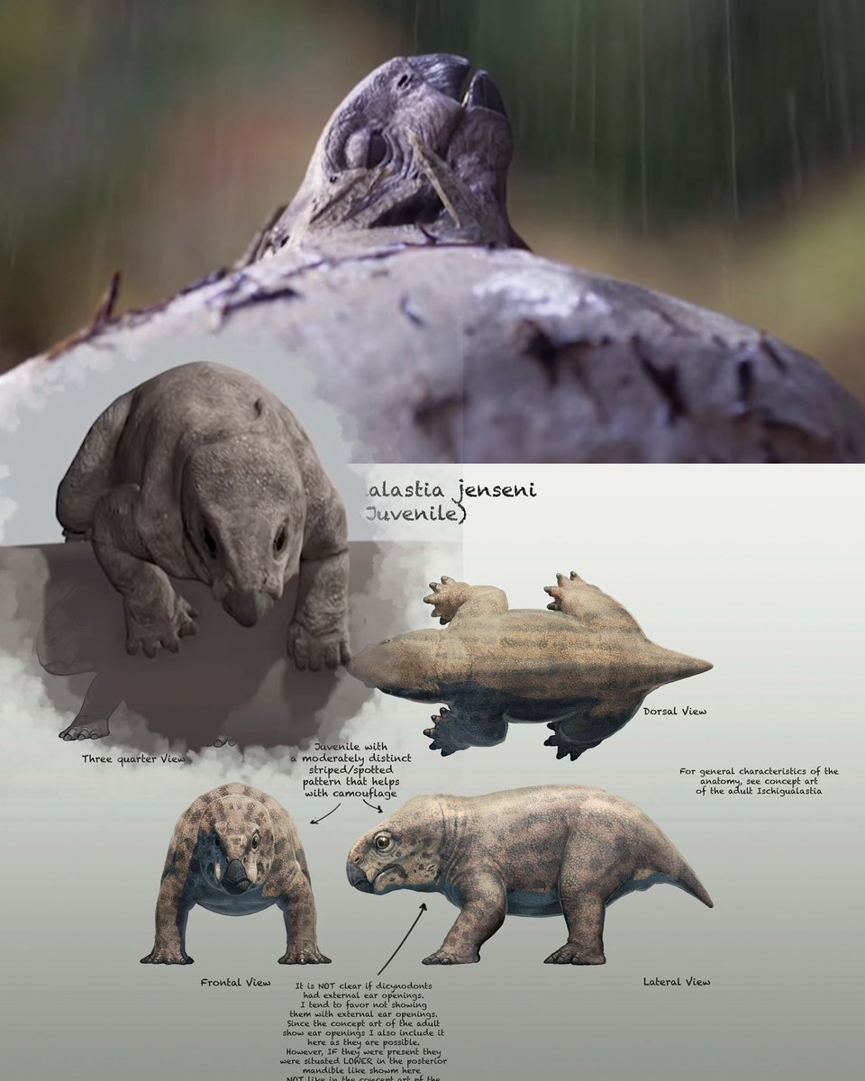 Gabriel N. U. tweet media