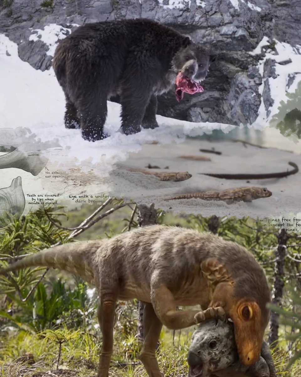 Gabriel N. U. tweet media