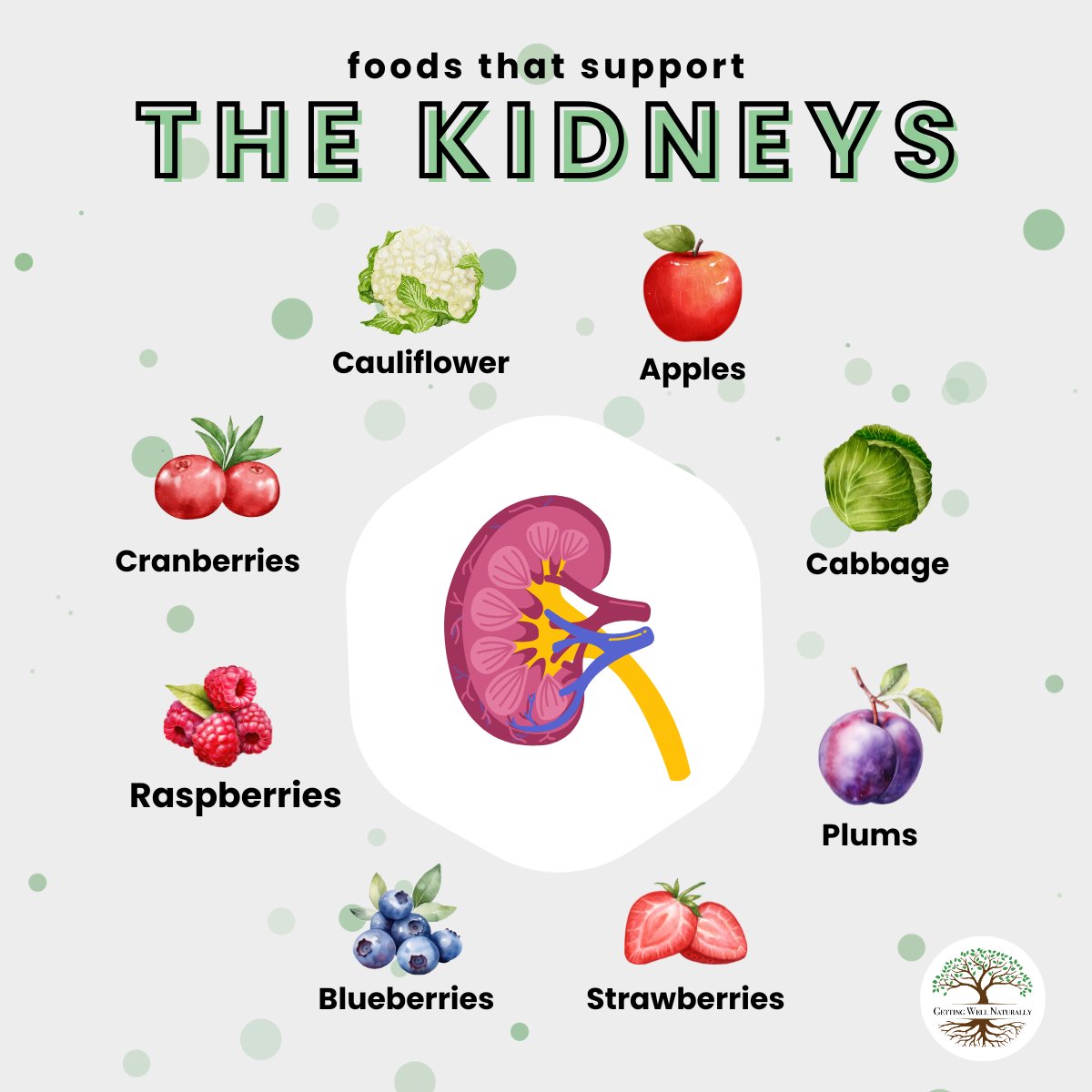 GWNStore's tweet photo. What can you eat to improve kidney health? 🥗

#kidneyhealth #wholistichealth #renalwellness #mindbodyspirit #naturalwellness https://t.co/7lpcHZQ0ki