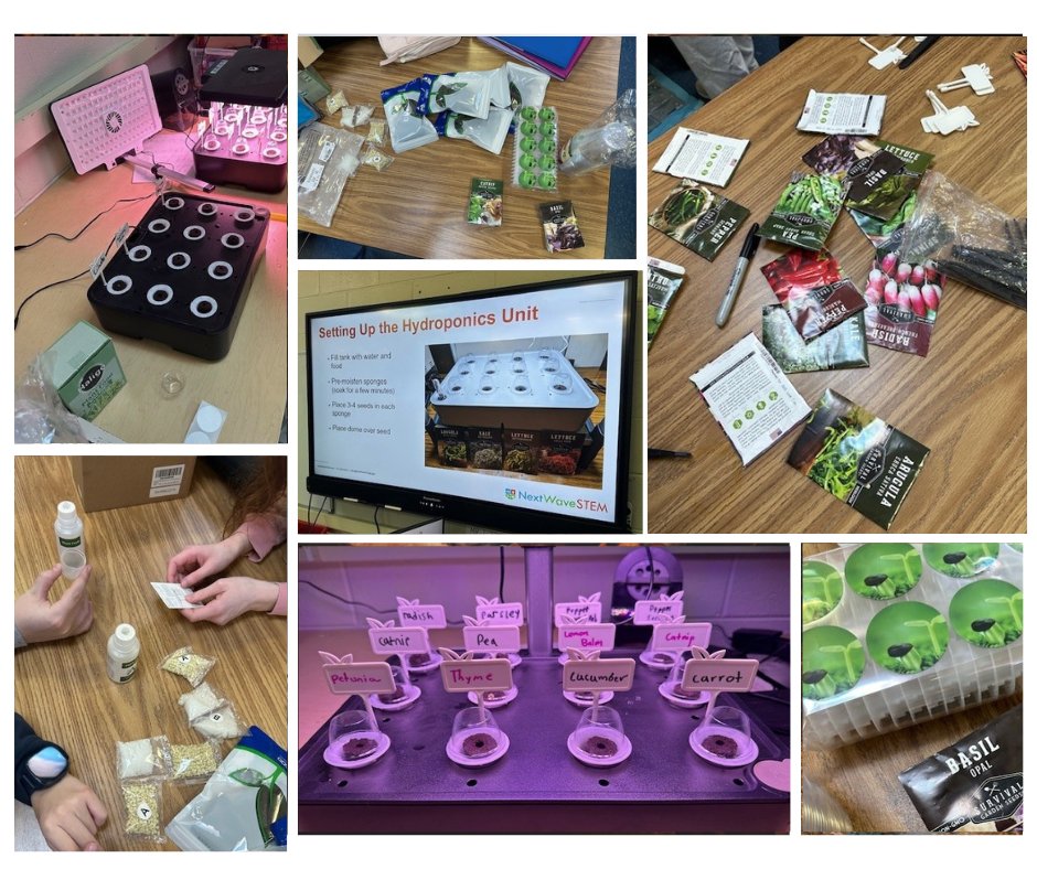 Springfield SD tweet media