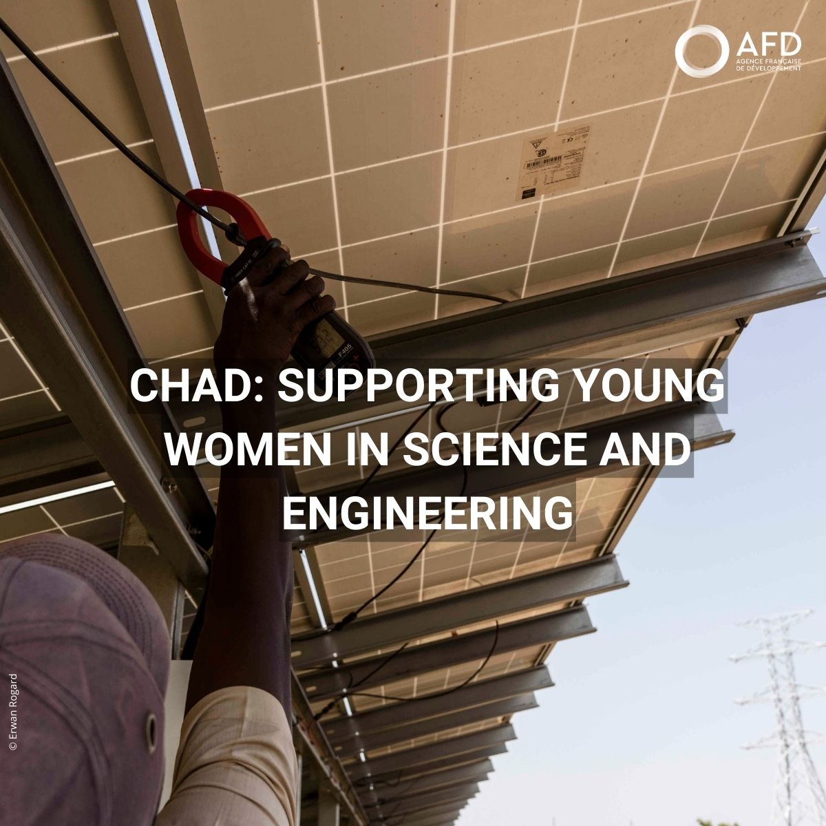 AFD_en 🇫🇷 🇪🇺 tweet media