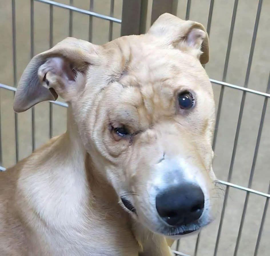 Sarah ❤️ tweet media