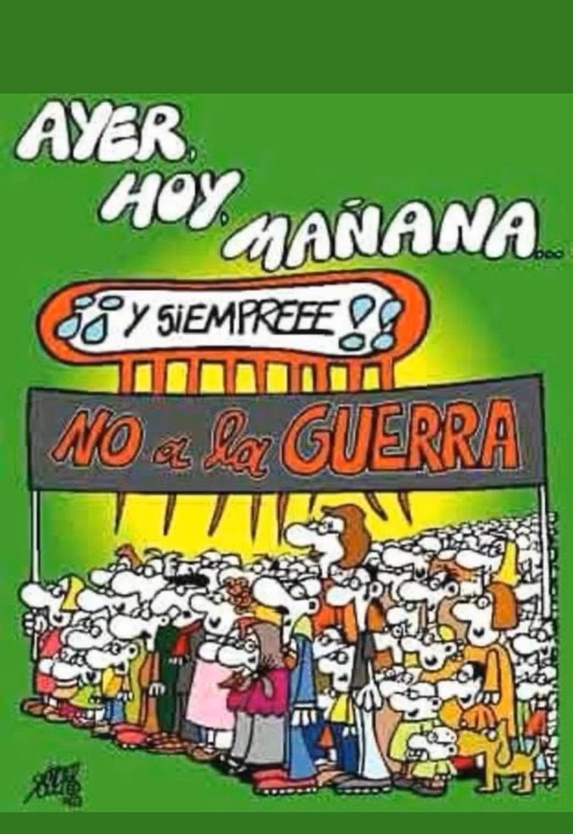 Mayte Alvarez tweet media