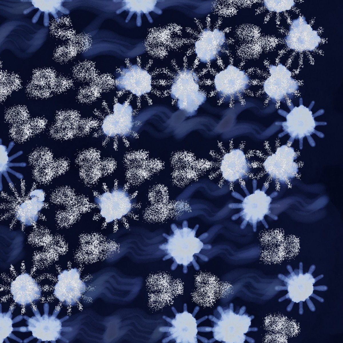 Tomi Abe tweet media