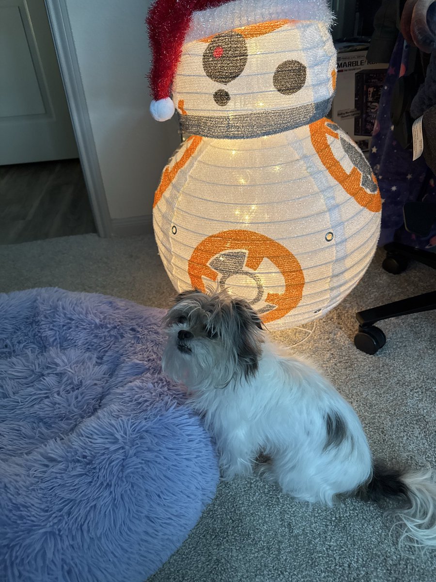 Did you know…

…that we’re live on #twitch and #kick RIGHT NOW?

Playing @swtor.com and being sithy in warrior chapter 3!

💜 twitch.tv/jedimickeyy
💚 kick.com/jedimickeyy

<a href="/Twitch/">Twitch</a> <a href="/kick/">KICK</a>