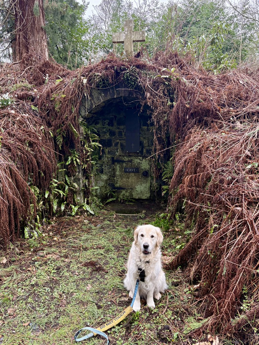 lyn_golden's tweet image. Shh!🤫 I found the entrance to the #batcave - now I’m not saying veteran is #batman - but you never see them both in the same room!
#cave #caves