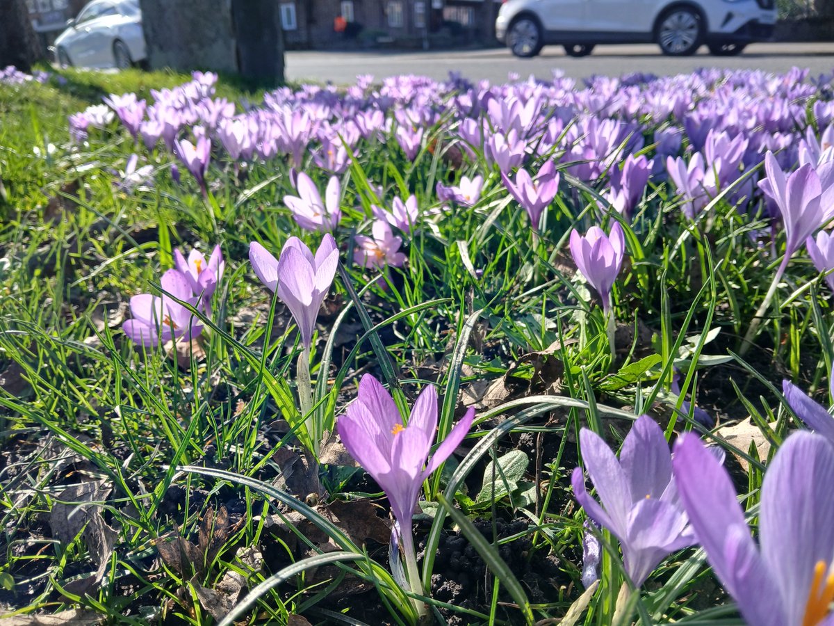 One Trafford tweet media