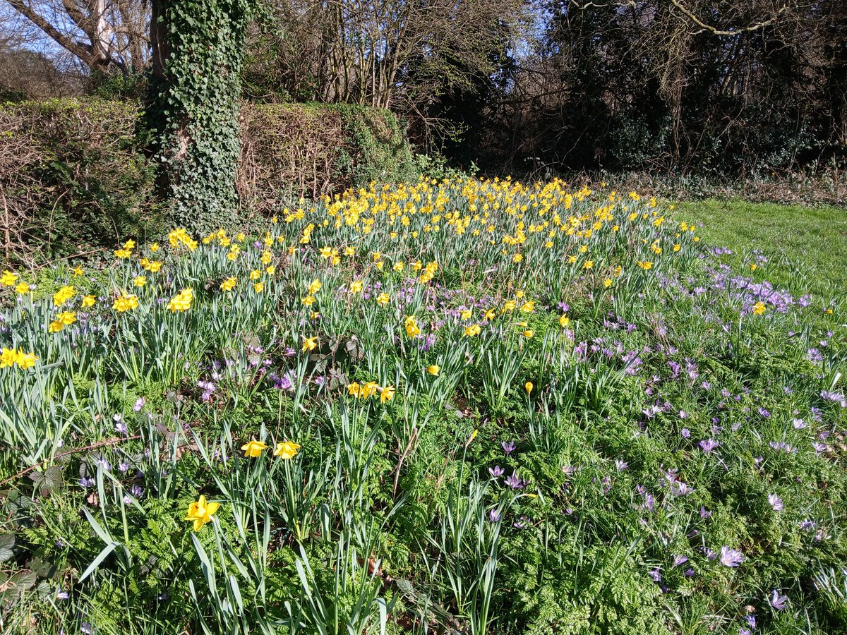 One Trafford tweet media