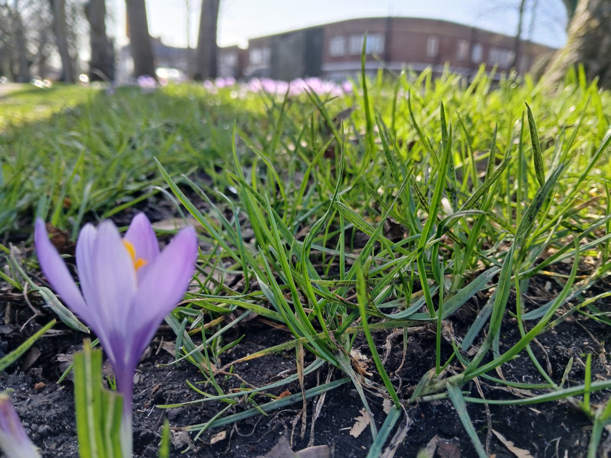 One Trafford tweet media