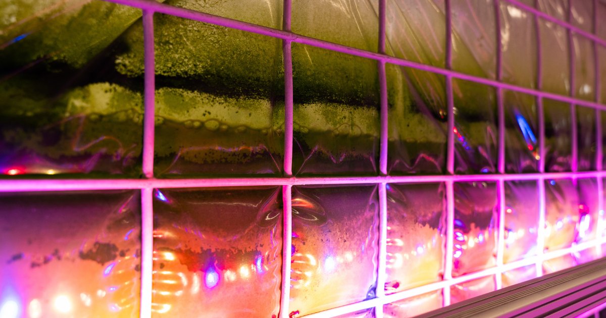 CU Boulder Engineering 🦬 tweet media