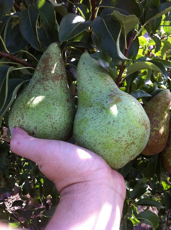 Benjamin Rguez tweet media