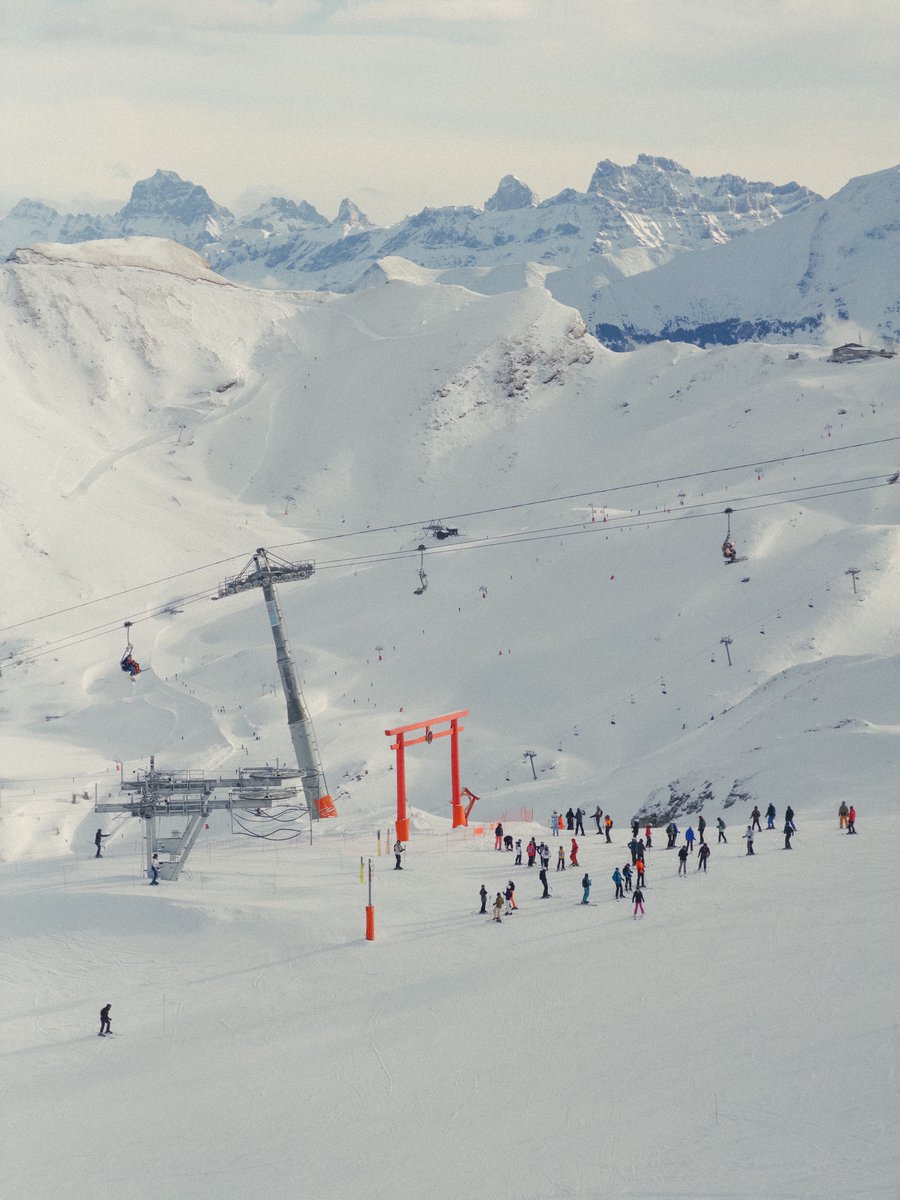 Moment Pro Camera tweet media