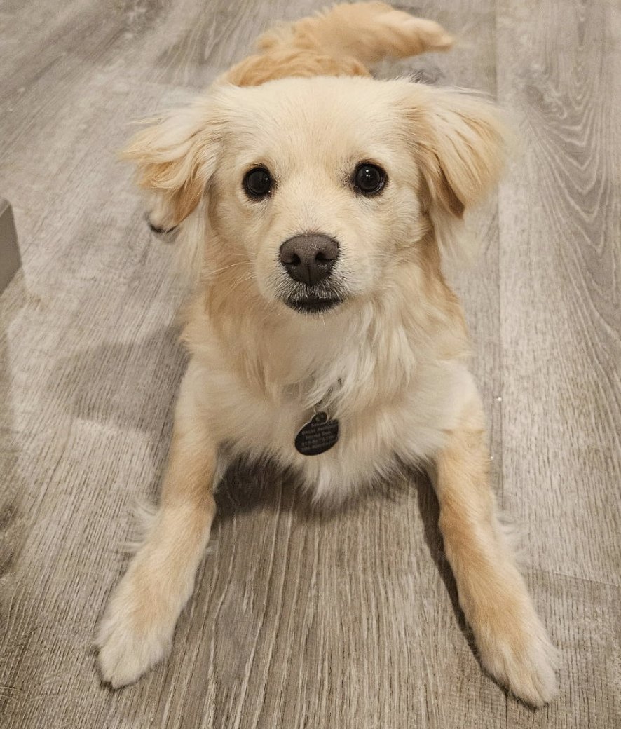 Carter Subaru tweet media