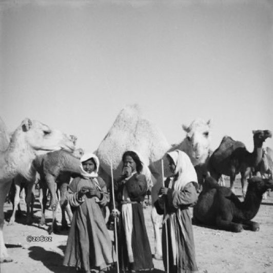 ٱلْمُضَيَّانِيُّ ٱلْوَائِلِيُّ tweet media