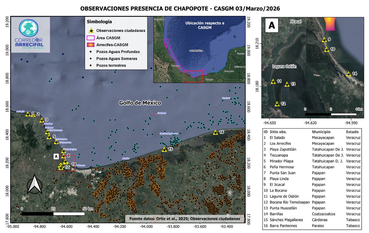 Audelino Macario Periodista tweet media