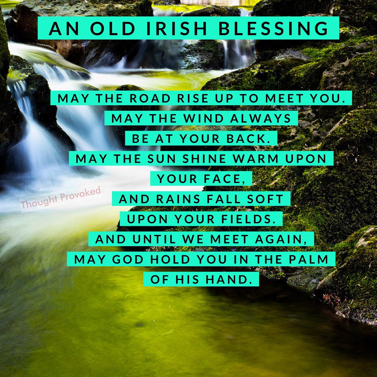 Positive Thinking ☀️ tweet media