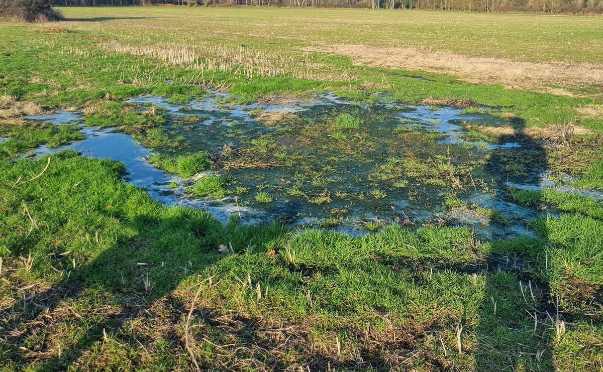 Cerberus Rural tweet media