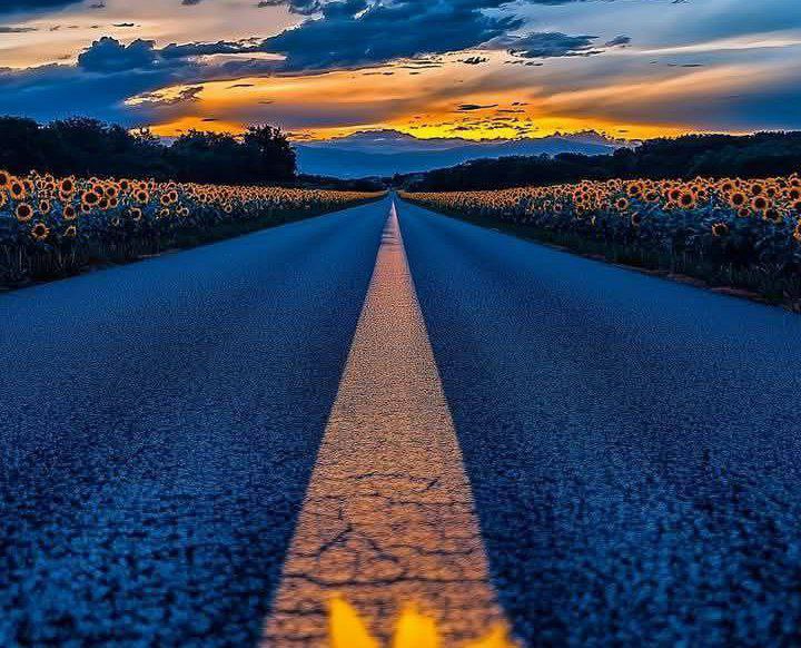 الدنيا سلف ودين أفعالك ستزورك 
طبيعة الدنيا أن كل ماتفعله مردود
الدنيا تدور والمشاهد تُعاد والأدوار 
تتبدل ستحصد ما زرعته في طريق 
غيرك زرعت خير ستحصد خير حتى 
 لو لم يكن من نفس المكان ولا من 
نفس الأشخاص ❤️