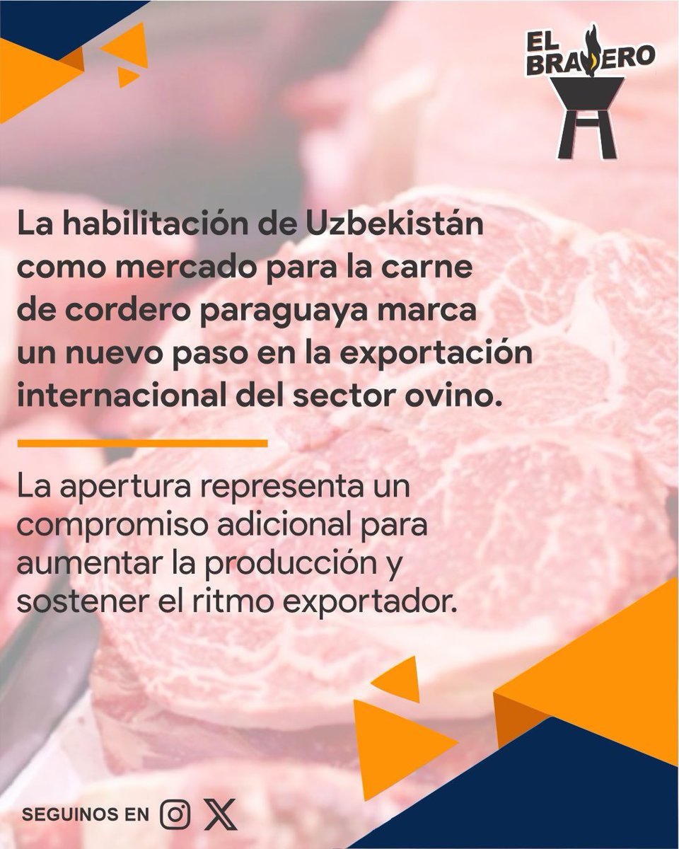 ElBraseroPy tweet media